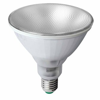 Megaman LED reflector PAR38 Professional 155W warmwit 950lm E27828 35 B0 MM17672 4020856176724