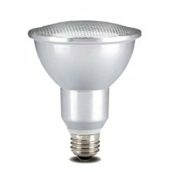 I Light spaarlamp PAR30 E27 15W 6400K 10000  8033638772188