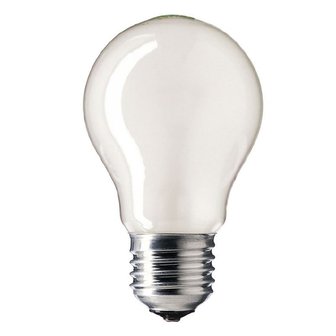 Philips 25W E27 mat SolidLight