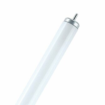 Osram L 20W640 XL Cool White 4050300014630