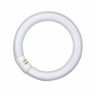 Osram l 40w 840 c lumilux cool white g10q 4050300014845