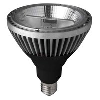 Megaman LED reflector PAR38 Professional 16W warmwit 950lm E27828 25 B0 MM17472 4020856174720