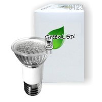 groenLED 2 8W E27 110G wit LEDs 6400K 0123 4250340101233