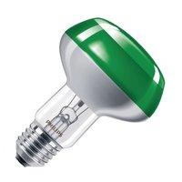 Philips reflectorlamp Colours 60W NR80 E27 groen 8711500066534