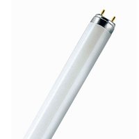 Osram T8 L 58W880 LUMILUX Skywhite G13 4008321002990