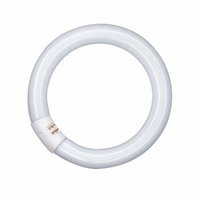 Osram L 40W830 C Ringform Lumilux Warm White G10q 4008321533876